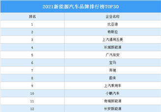 2021新能源汽车品牌排行榜TOP30（附榜单）