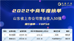 2022年山東省上市公司營業收入排行榜（附榜單）