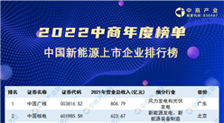 2022年中國新能源上市公司營業收入排行榜（附榜單）