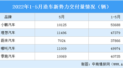 2022年5月造車新勢力銷量PK：理想第一 哪吒第二（圖）