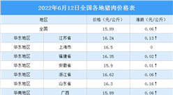 2022年6月13日全國各地最新豬肉價格行情走勢分析