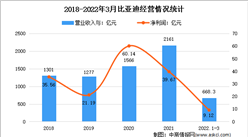 2022年中國動力電池行業市場前景及投資研究報告（簡版）