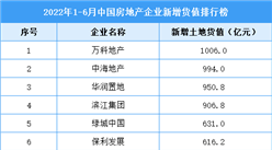 2022年1-6月中國房地產企業新增貨值排行榜TOP100