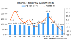 2022年5月黑龍江發電量數據統計分析