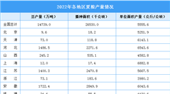 2022年全國各地區夏糧產量運行情況分析：河南省夏糧產量最高