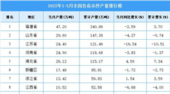 2022年1-5月全國各省市紗產量排行榜