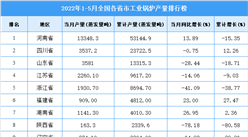 2022年1-5月全國各省市工業鍋爐產量排行榜