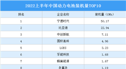 2022上半年中國動力電池裝機量TOP10（附榜單）