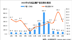 2022年6月全國成品糖產量數據統計分析