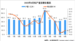 2022年6月全國布產量數據統計分析