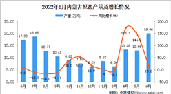 2022年6月內蒙古原鹽產量數據統計分析