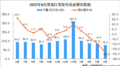 2022年6月黑龍江發電量數據統計分析