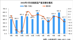 2022年7月全國原鹽產量數據統計分析