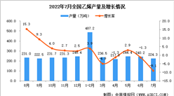 2022年7月全國乙烯產量數據統計分析