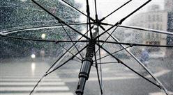 2022年1-7月中國傘出口數據統計分析