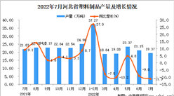 2022年7月河北塑料制品產量數據統計分析