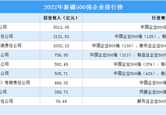 盘点：新疆地区500强企业（2022）