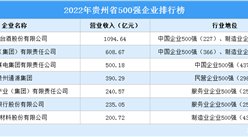 盤點：貴州地區500強企業（2022）
