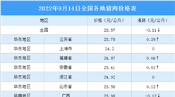 2022年9月15日全國各地最新豬肉價格行情走勢分析