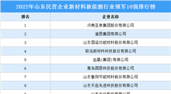 2022年山東民營企業新材料新能源行業領軍10強排行榜