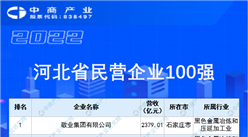 2022河北省民營企業100強排行榜（附全榜單）