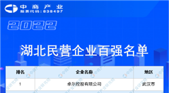 2022湖北民營企業100強榜單（附全榜單）