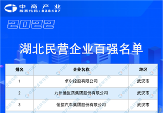 2022湖北民营企业100强榜单（附全榜单）