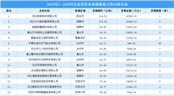 產業投資情報：2022年1-10月河北省投資拿地規模最大的50家企業