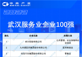 2022武汉服务业企业100强榜单（附榜单）