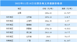 2022年11月15日全國各地最新玉米價格行情走勢分析