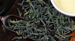 2022年1-9月中國茶葉出口數據統計分析