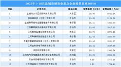 產業招商情報：2022年1-10月鹽城市制造業重點企業投資拿地TOP50