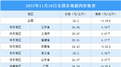 2022年11月17日全國各地最新豬肉價格行情走勢分析