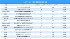 2022年11月18日全國各地最新雞蛋價格行情走勢分析