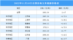 2022年11月19日全國各地最新玉米價格行情走勢分析