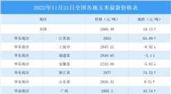 2022年11月22日全國各地最新玉米價格行情走勢分析