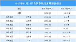 2022年11月25日全國各地最新玉米價格行情走勢分析