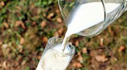 2022年1-10月中國乳品進口數據統計分析