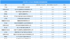 2022年12月1日全國各地最新雞蛋價格行情走勢分析