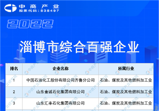 2022淄博市综合百强企业排行榜（附榜单）