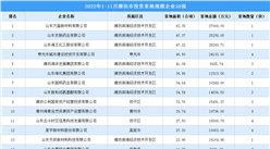 產業投資情報：2022年1-11月濰坊市投資拿地規模企業50強
