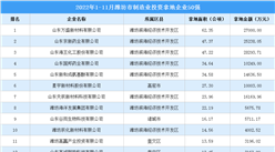 產業招商情報：2022年1-11月濰坊市制造業投資拿地企業50強