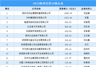 2022陕西民营50强企业排行榜（附榜单）