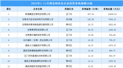產業招商情報：2022年1-11月酒泉制造業企業投資拿地規模30強