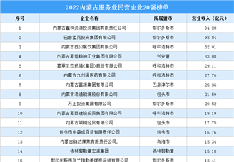 2022内蒙古服务业民营企业20强榜单（附榜单）