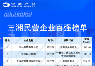 2022三湘民营企业百强榜单