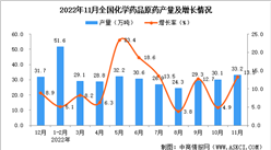 2022年11月全國化學藥品原藥產量數據統計分析