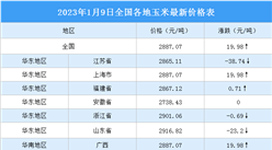 2023年1月10日全國各地最新玉米價格行情走勢分析