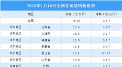 2023年1月11日全國各地最新豬肉價格行情走勢分析