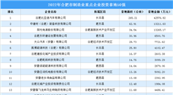 產業投資成績單 | 2022年合肥市制造業土地投資50強總投資超17億！